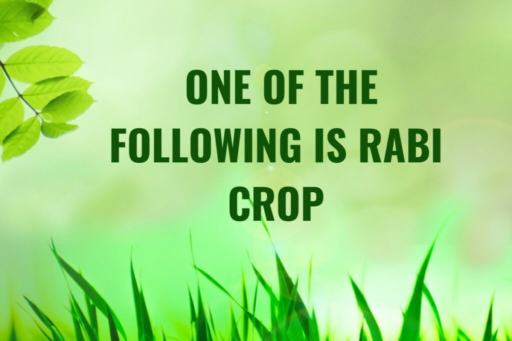 Which One Of The Following Is Rabi Crop