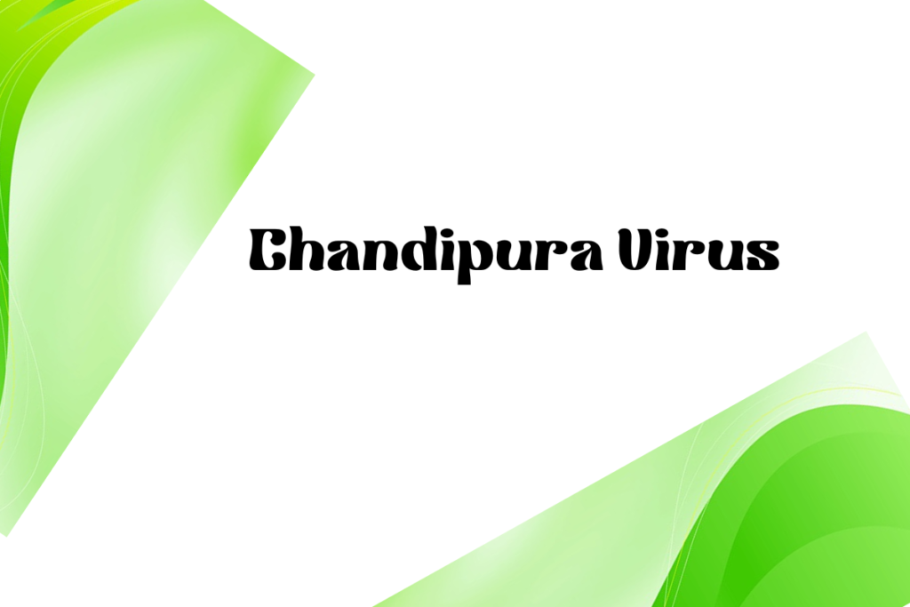 What is The Chandipura Virus in Gujarat