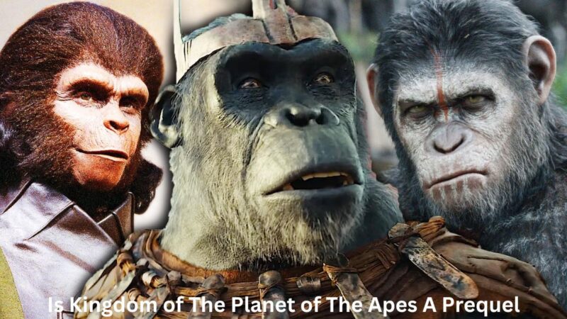 Is Kingdom of The Planet of The Apes A Prequel