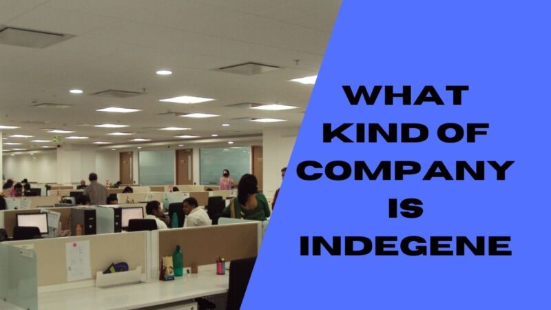 What Kind Of Company Is Indegene