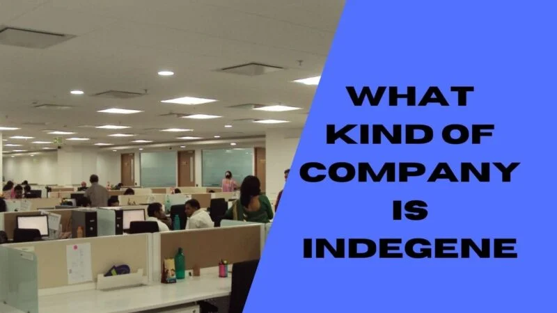 What Kind Of Company Is Indegene