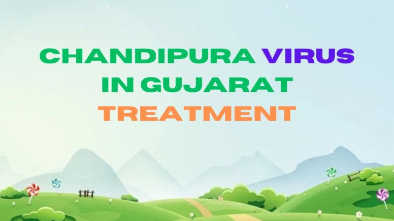 Chandipura Virus in Gujarat Treatment