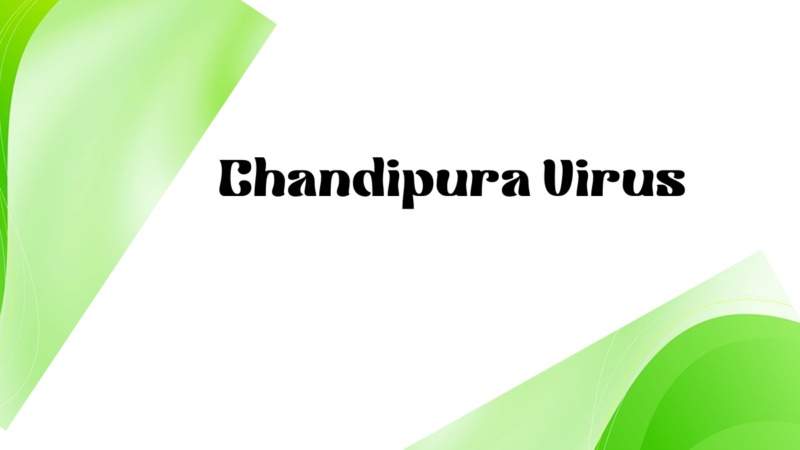 What is The Chandipura Virus in Gujarat