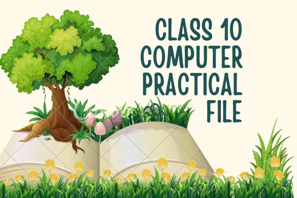 Class 10 Computer Practical File